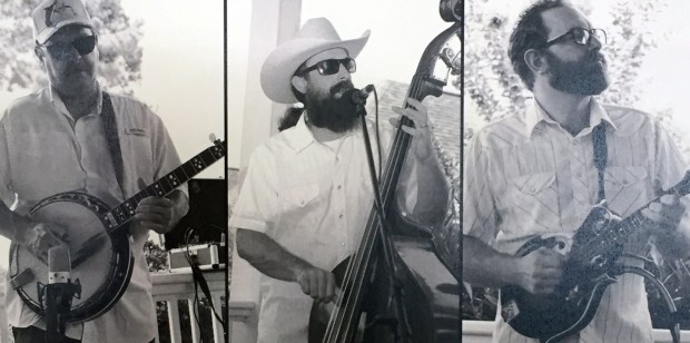 folkstone string band